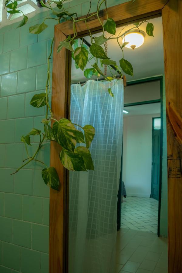 La Casa Del Sombrero Lägenhet Santa Marta  Exteriör bild